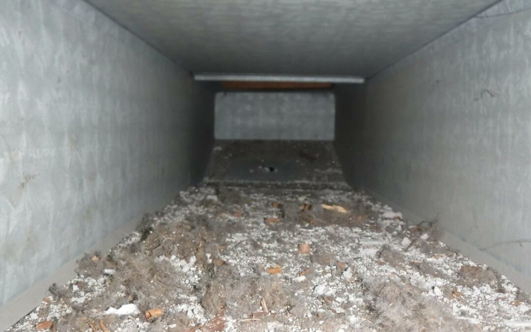The Importance of Air Duct Cleaning: Advice for Cleveland Homeowners
