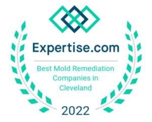 badge from Expertise.com