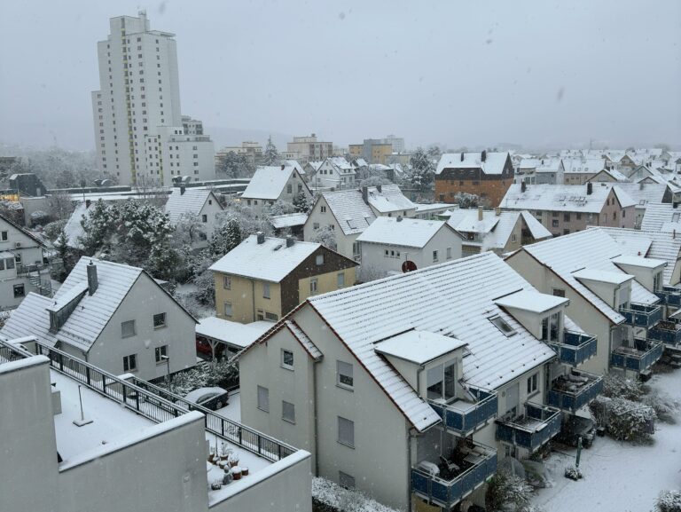 Cleveland homes in the snow in front of a grey sky
