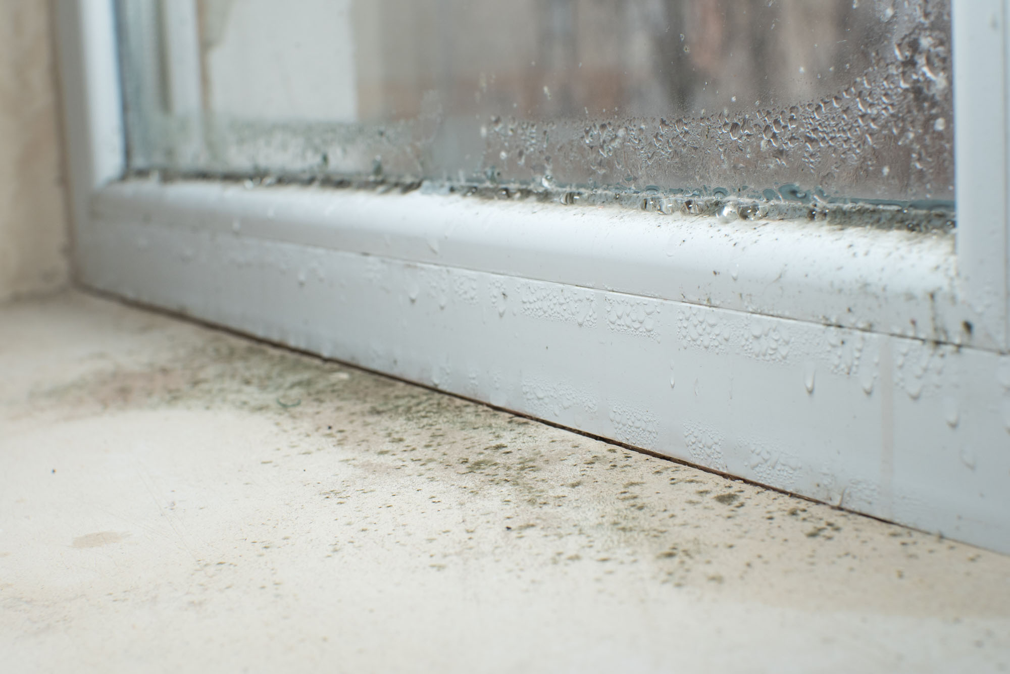 exterior condensation mold by window