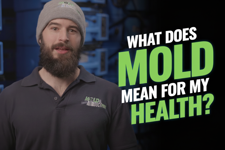 what does mold mean for my health?