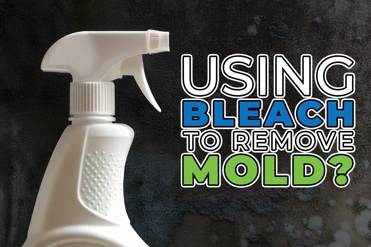 using bleach to remove mold