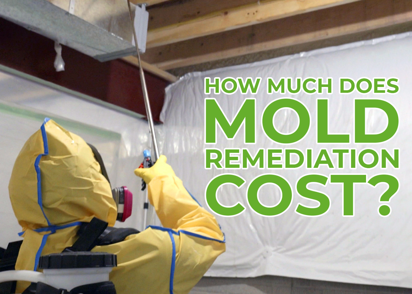 how much does a mold remediation cost how much does a mold remediation cost