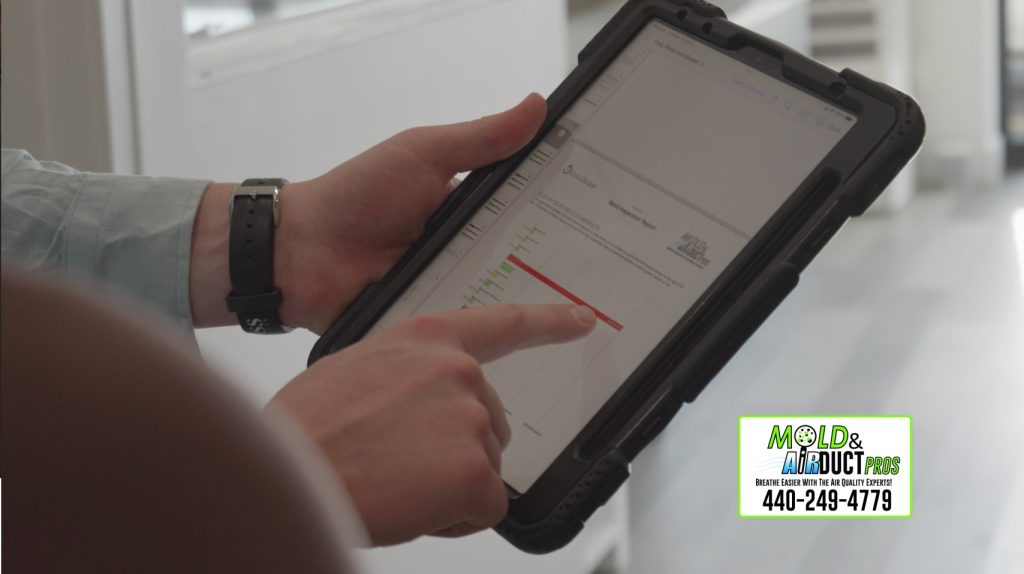 Same day mold inspection reporting