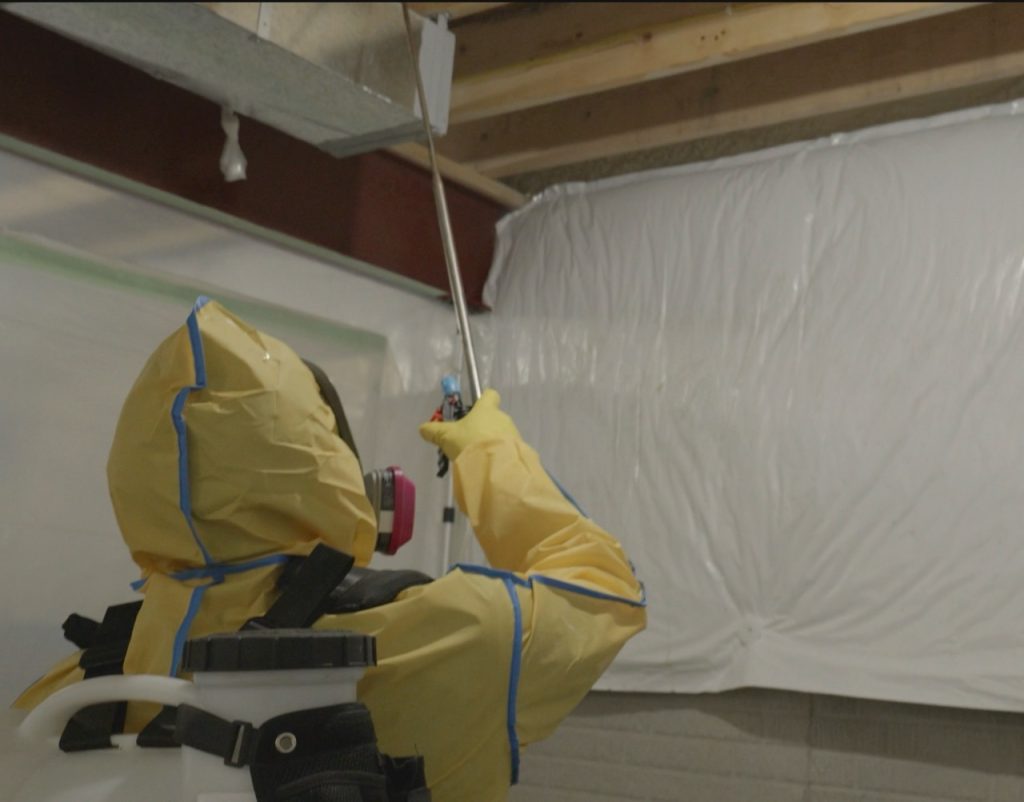 MADP team member remediation mold in Cleveland