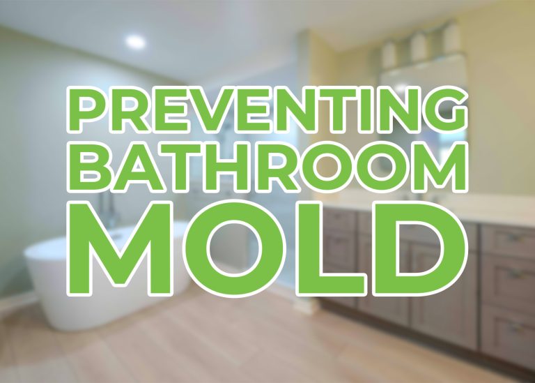preventing bathroom mold