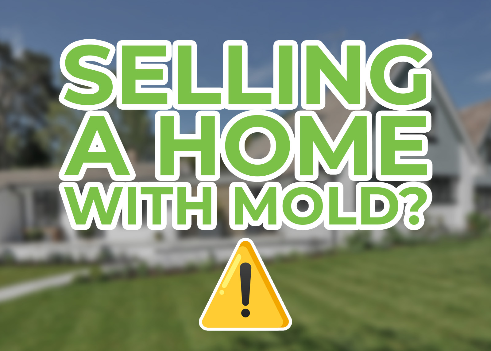 selling a home with mold