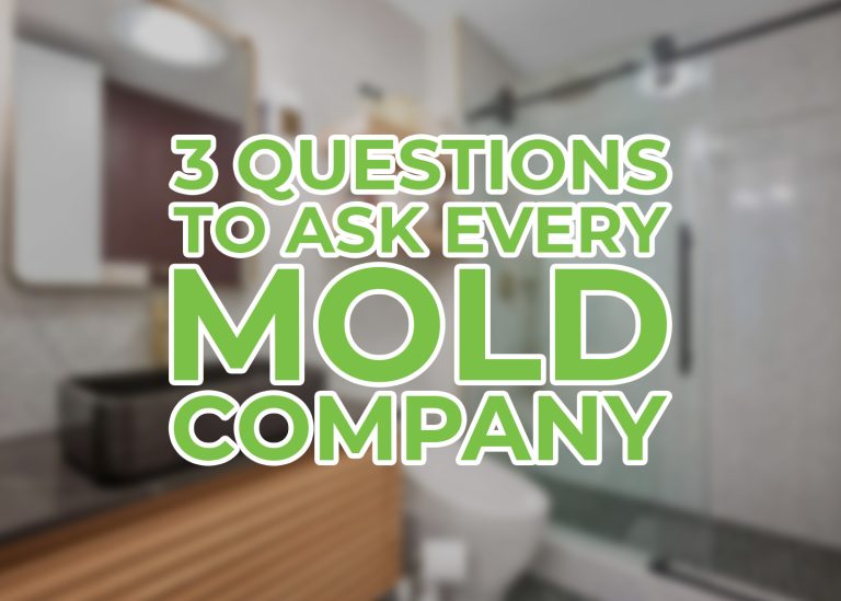 Three Questions to Ask Every Mold Company